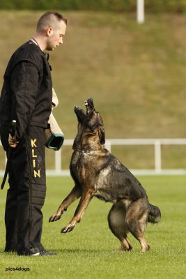 Scylla von der Schiffslache BSP 2008